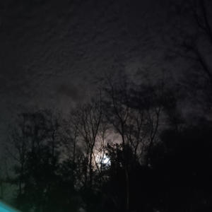 LIGHTS LOW (feat. Hollz) (Explicit)