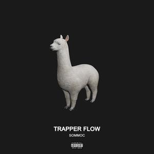Trapper Flow (Explicit)