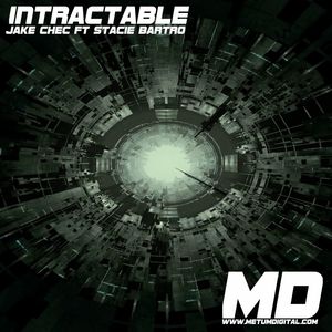 Intractable (Flat Mix)