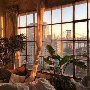 50 Years from Now (feat. Ardea)