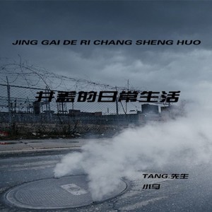 井盖的日常生活