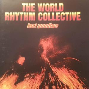 Last Goodbye (with The World Rhythm Collective)