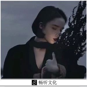 演员和歌手封面