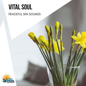 Vital Soul - Peaceful Spa Sounds