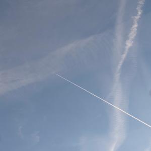 S T A R W A L K I N G (feat. Augxst)