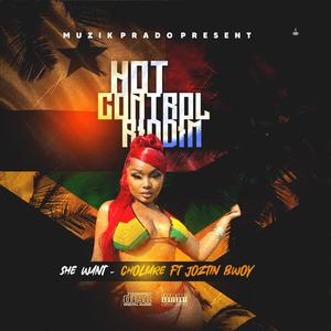 She Want (feat. Choliare & Joztin Bwoy) (Explicit)