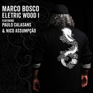 Electricwood I (feat. Nico Assumpção & Paulo Calasans)