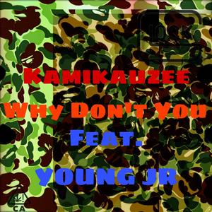 Why Don't You (feat. YOUNG JR) (Explicit)
