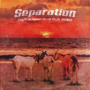 Separation (feat. Mani Akili & DPezz) [Explicit]