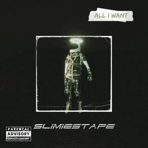 All I Want (Explicit)