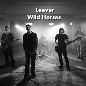 Wild Horses