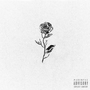 Rose 4rm (Explicit)