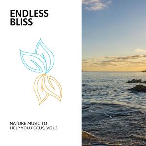 Endless Bliss - Nature Music to Help You Focus, Vol.3