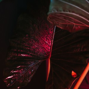 OVER YOU (feat. Dopeworm)