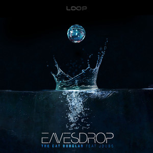 The Cat Burglar (feat. J Dubs) (Remix)