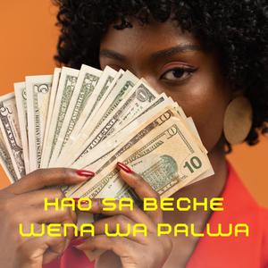 Hao Sa Beche Wena Wa Palwa (feat. Djy_Miizo,Amapiano Music & Tik Trendz) (乐器版)