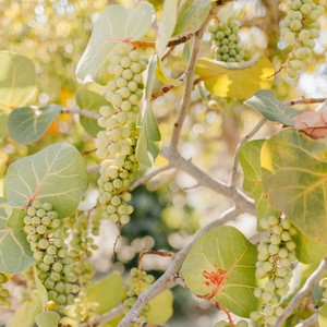 新风格音乐，单身帅哥美女最爱听的励志动听纯音乐