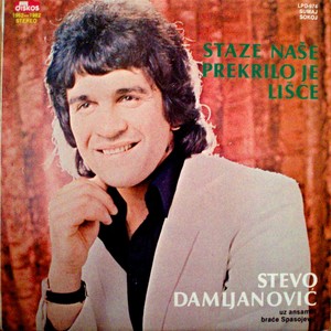 Staze Nase Prekrilo Je Lisce