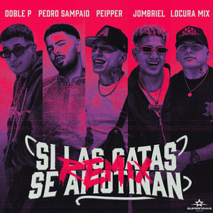 Si Las Gatas Se Amotinan (feat. DobleP) (Remix|Explicit)