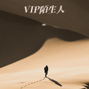 VIP陌生人 (伴奏)