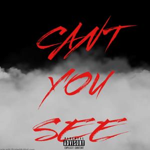 Cant You See (Explicit)