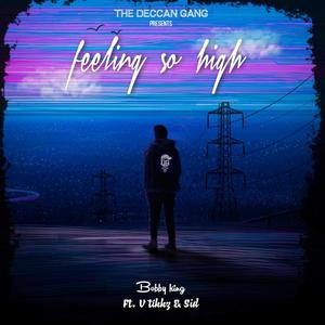 Feeling so high (feat. V Tikkz) [Explicit]