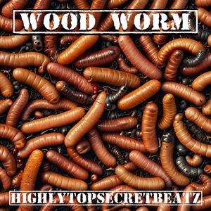Wood Worm (feat. SoloDoeloe & Samo) (Explicit)