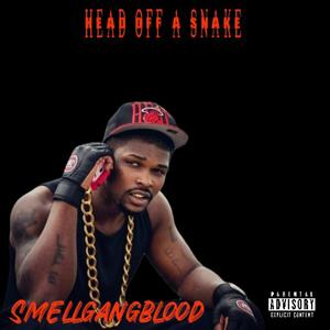 Head of a snake (Explicit)