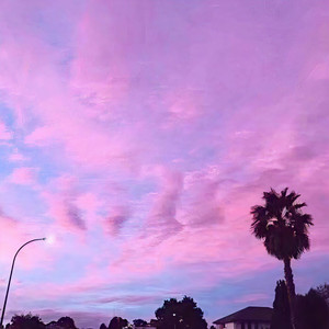 要是能一直陪在你身边该多好啊