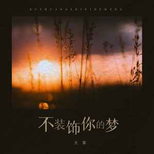 大笨《不装饰你的梦》[MP3_LRC]_MP3免费下载