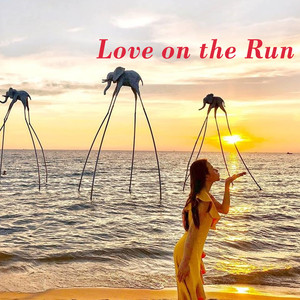 Love On The Run