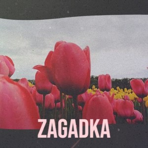 Zagadka