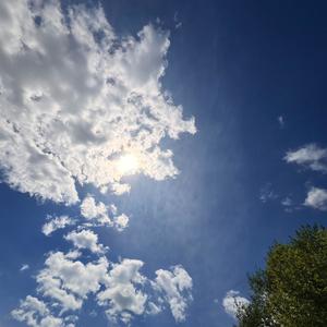 Rollercoaster of Lies (Explicit)