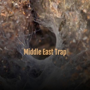 Middle East Trap