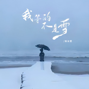 我等的不是雪