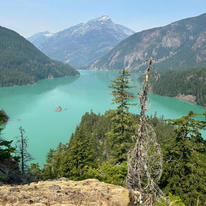 Whispers by the Lake