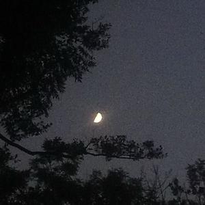 HILFST DU MIR? (Explicit)