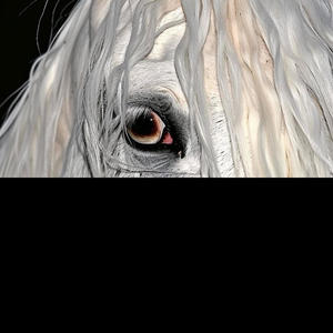 liquid mission (Explicit)