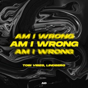 Am I Wrong (Techno Mix)