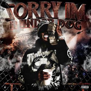 Sorry Ima Underdog (Explicit)