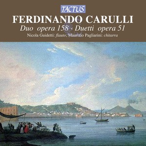 Duet for flute and guitar in A Minor, Op. 51, No. 6 - I. Larhetto molto espressivo