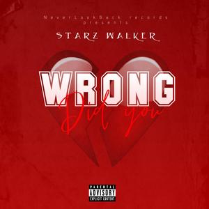 Did you wrong (feat. Willz Montana) [Explicit]