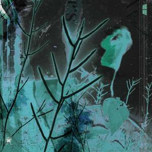 40 Feet Deep (Explicit)