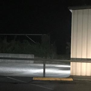 leave me dead (Explicit)