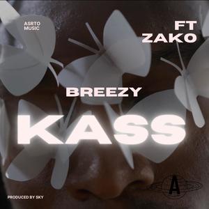 Kass (feat. Zako) (Explicit)