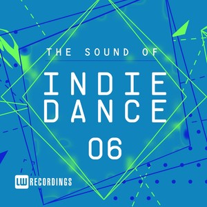 The Sound Of Indie Dance, Vol. 06