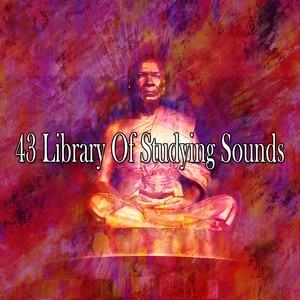 43 Library of Studying Sounds