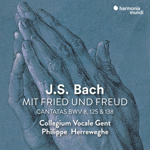 Warum betrübst du dich, mein Herz, BWV 138 - Warum betrübst du dich, mein Herz, BWV 138: V. Aria 
