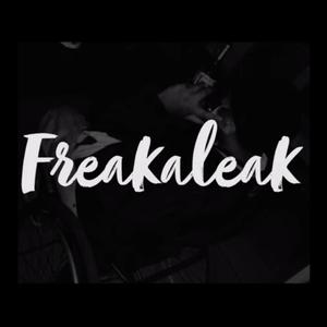 FREAKALEAK (Explicit)