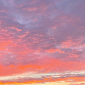 WindLY - What Do You Expect